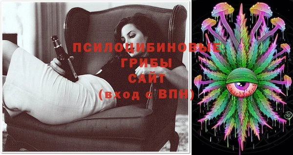 стафф Сатка