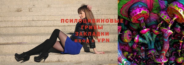 стафф Алексеевка