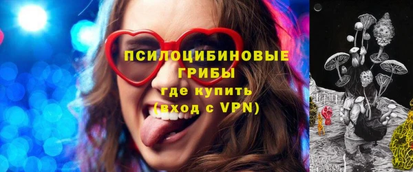 apvp Алзамай