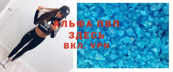 apvp Алзамай