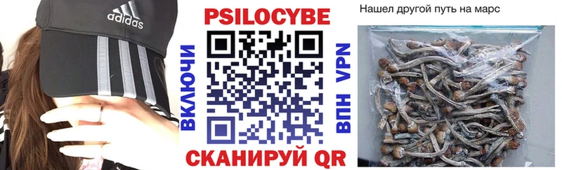 Галлюциногенные грибы MAGIC MUSHROOMS  купить   Ейск 